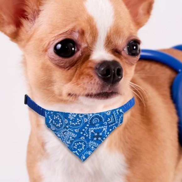 Black Dog or cat bandana - Picture 3 of 6
